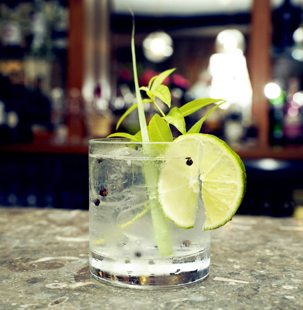 Chatsworth Gin Cocktail Lemon Verbena Gimlet